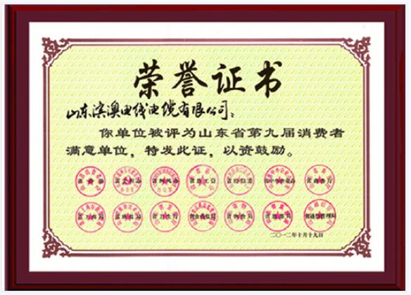 第九屆消費(fèi)者滿意單位